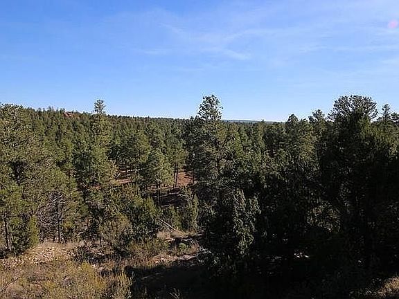 4th image of 2885 Cedar Ridge