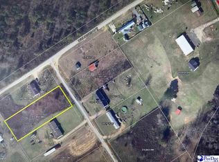 LOT David Smith Ln, Wallace, SC 29596