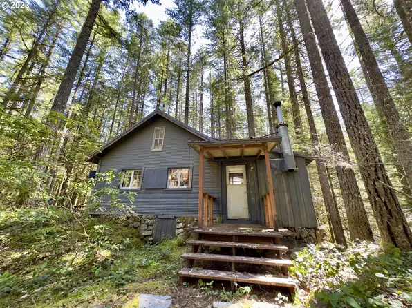 78542 E Road 32 Lot 26, Government Camp, OR 97028