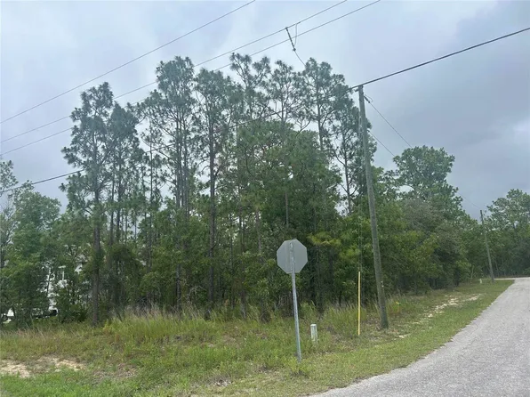 2 Balata Ct, Homosassa, FL 34446