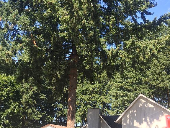 3rd image of 4611 NE 142nd Ave