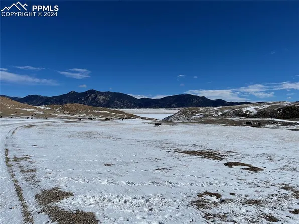 275 Sucker Cove Trl, Lake George, CO 80827