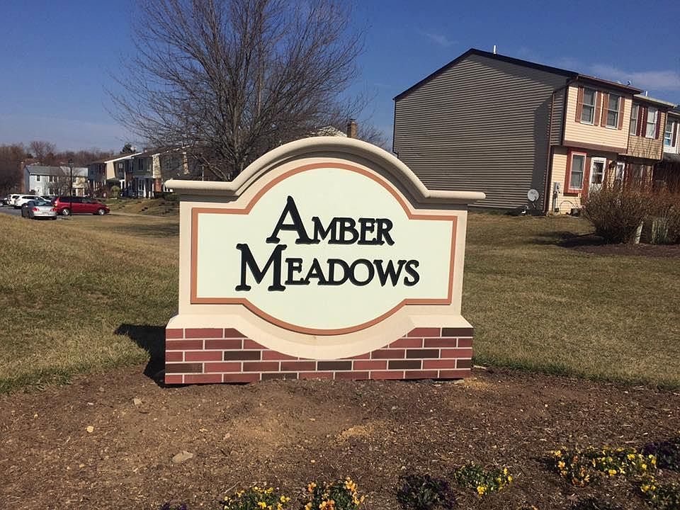 Amber Meadow