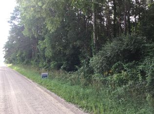 Washburn St, Howard City, MI 49329