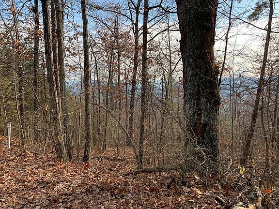 2nd image of 156 Harmony Hill Ln Lot 156E