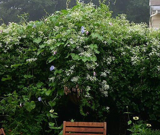 Wine Parties,great nieghbors