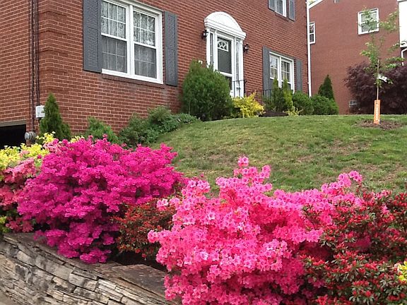 Spring has sprung!!
