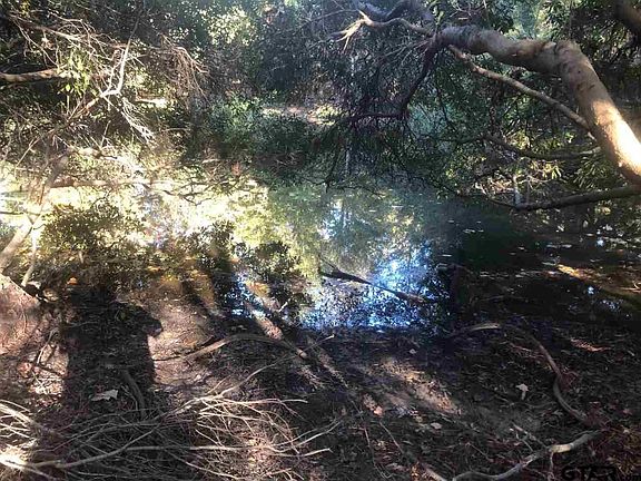 4th image of TRACT 1 County Road 3305