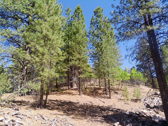 3rd image of 1430 W Elk Ridge Dr