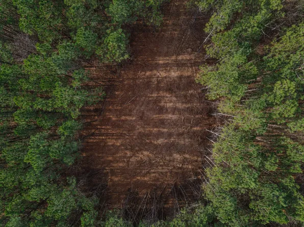 0 Brush Creek Rd Lot 7, Hohenwald, TN 38462