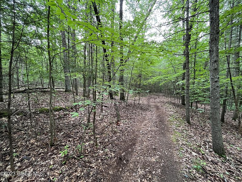 2nd image of L19.22 Homestead Road