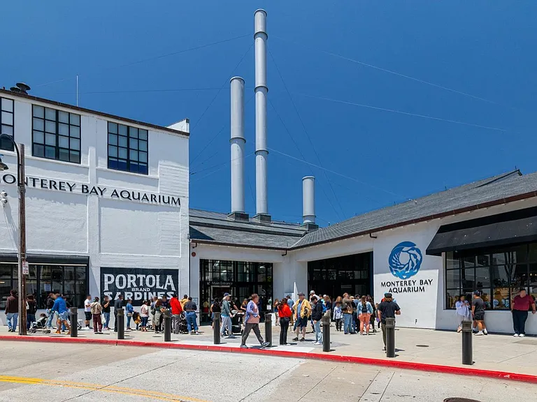 Quick 15 minute Walk to the Amazing Monterey Bay Aquarium