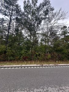 Highway 57 S, Lucedale, MS, 39452