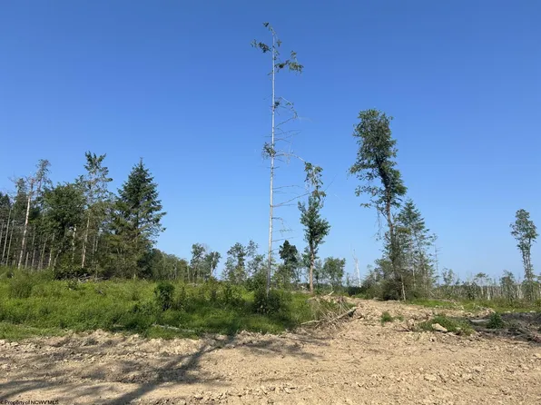 9-998 Hanlin Rd, Bruceton Mills, WV 26525