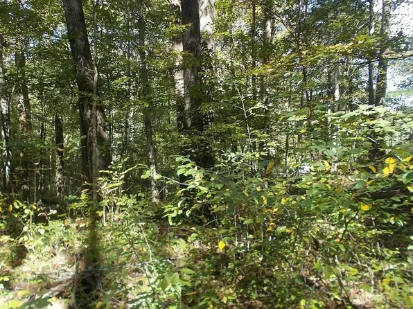 581 Butler Rd, Malta, OH 43758