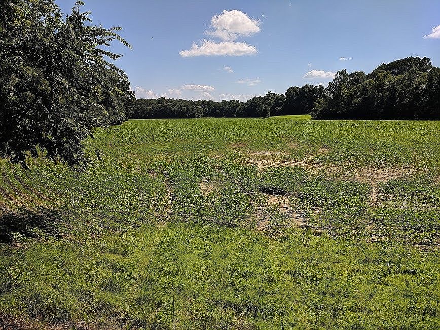 2nd image of Old Troy Rd