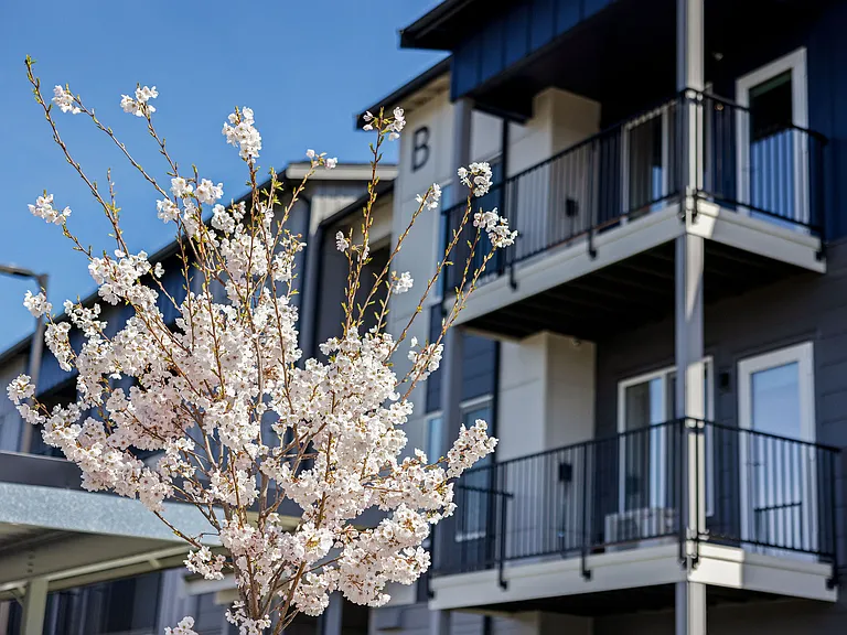 Motto Apartments — Photo 41