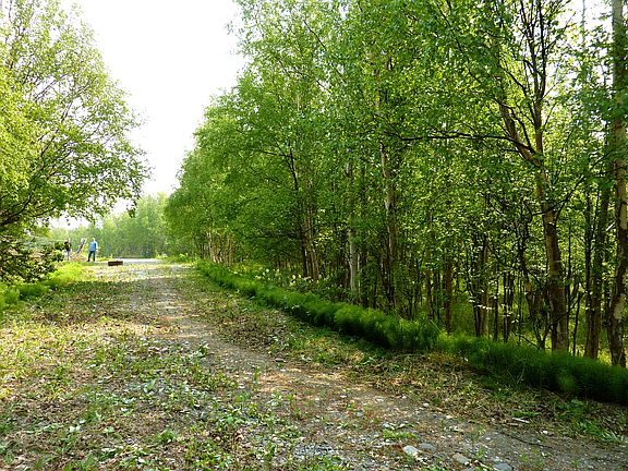 Quiet, forested entry
