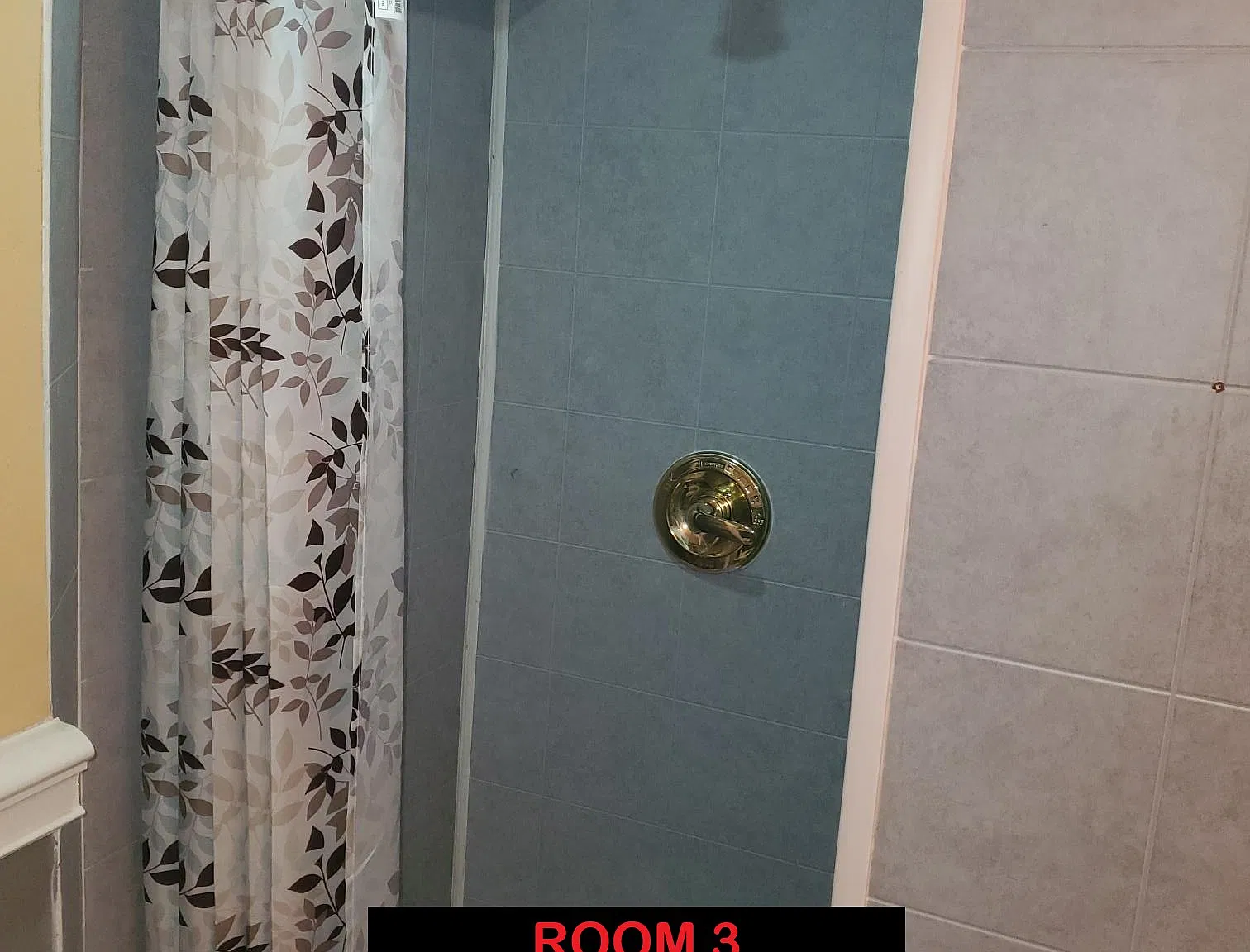 1 bed, 1.0 bath, 600 sqft, $1,100 — Photo 2