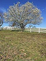 3rd image of 3415 Fm 1644