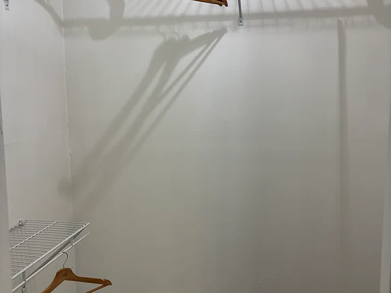 Walk-in closet