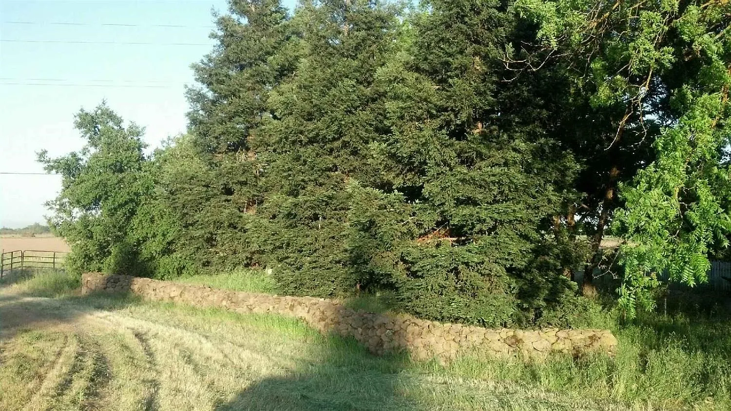 1903 Township Rd photo 1