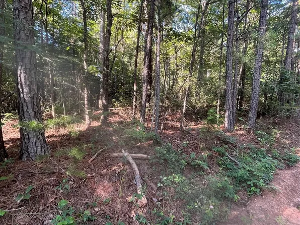 0 Ore Bank Rd #4, Smyrna, SC 29743