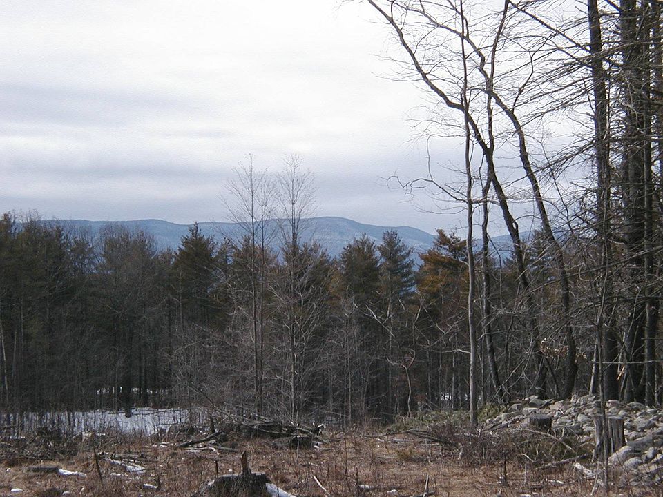 0 Anthony Dr, Cairo, NY 12413 Zillow