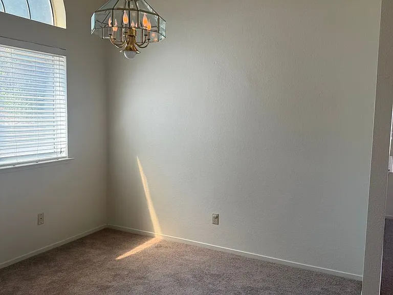 8317 Bramble Bush Cir — Photo 7