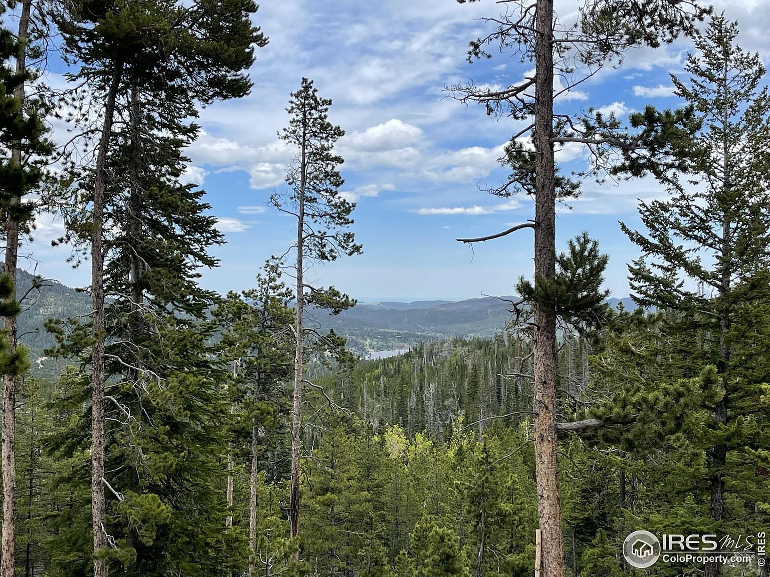 754 Mosquito Dr, Red Feather Lakes, CO 80545 MLS 990872 Zillow