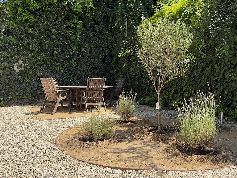 Exterior yard