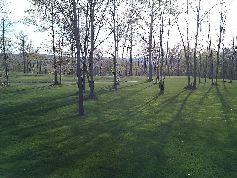2nd image of 4 Silver Spruce Dr