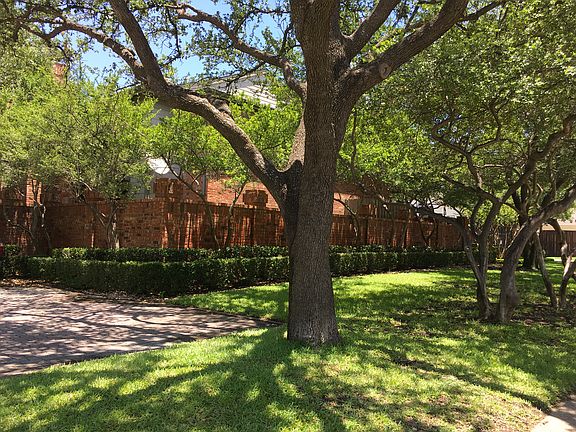 Mature trees and lawn areas.