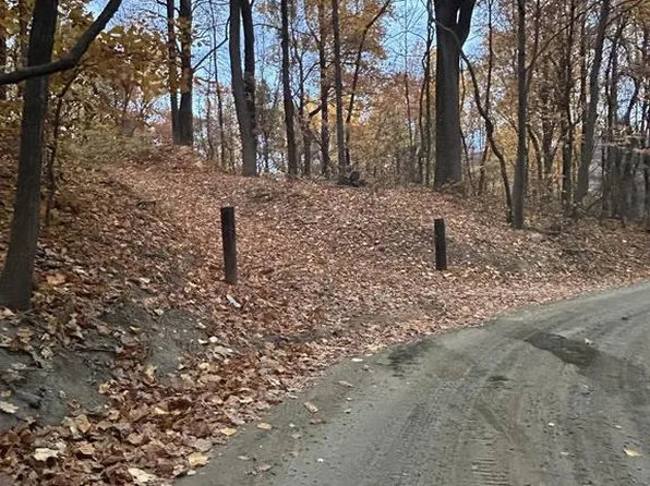 2493 WYATT MOUNTAIN RD #16, DYKE, VA 22935