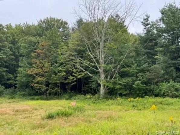 480 CR 131, Callicoon, NY