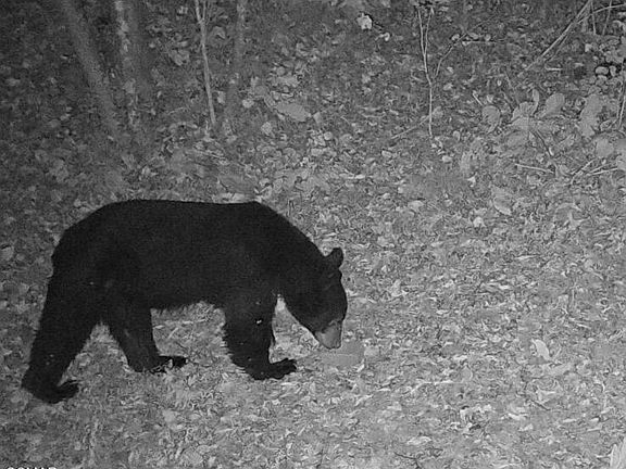 5th image of O'Happy Creek Rd