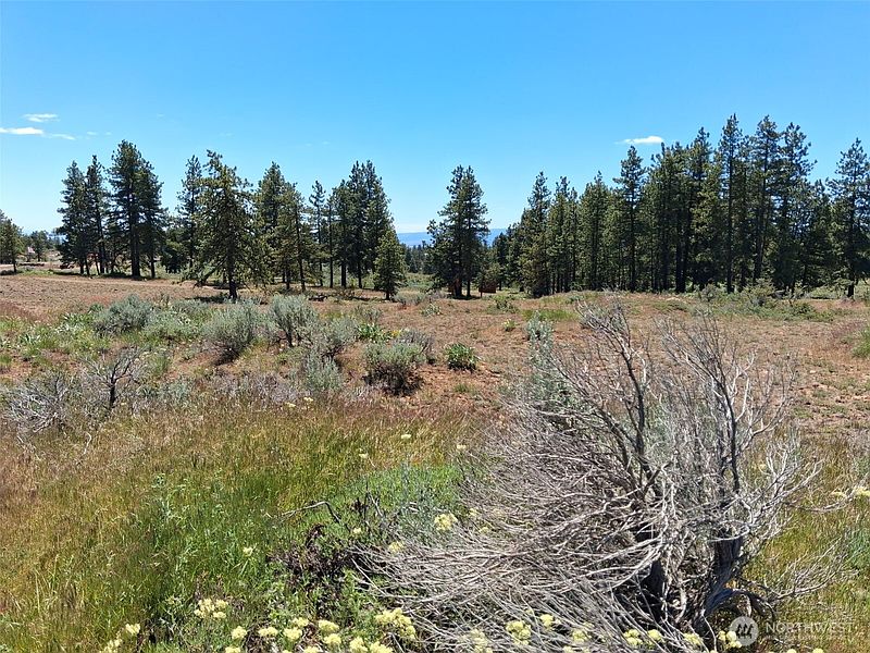 4th image of 113 Falcon Ridge Road