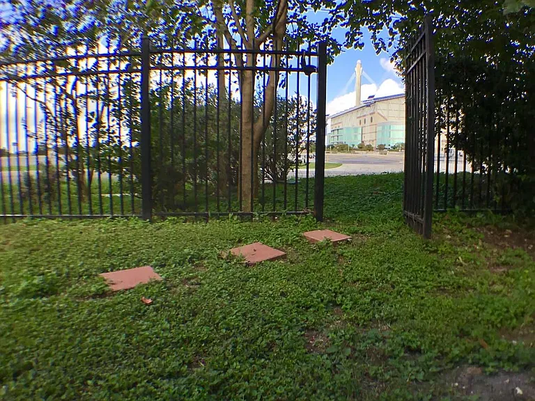 Claude W — Photo 13