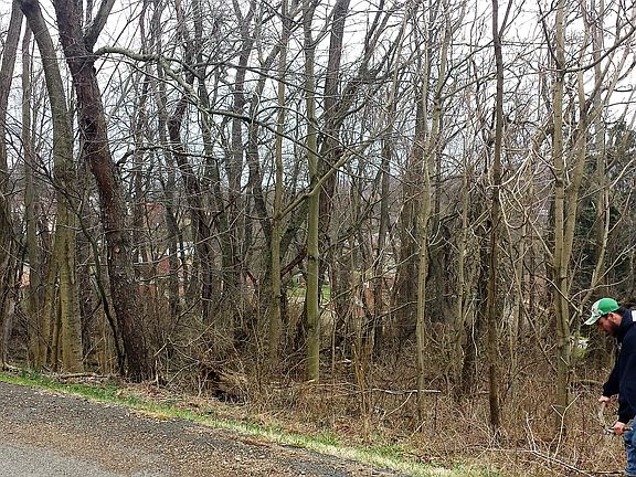 2nd image of Laurel Avenue