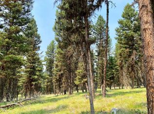 372 Seclusion Point, Seeley Lake, MT 59868