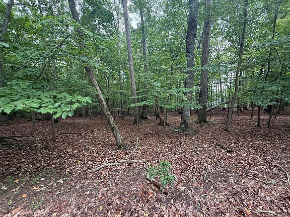 3rd image of 17 Saunders Point Rd Lot 17