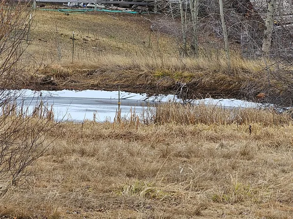 Nhn Hoblitt Ln, Florence, MT 59833