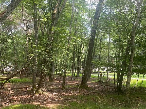 2nd image of 407 Pine Tree Rd