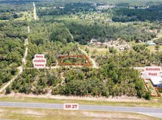 NE 52nd Pl LOT 1, Williston, FL 32696