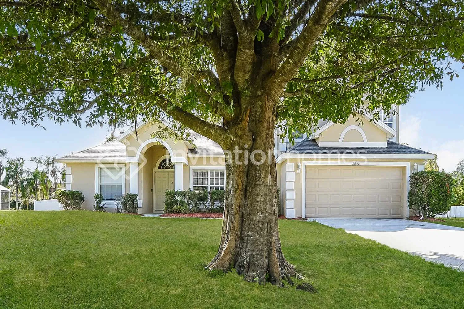 2850 Longleaf Ct Kissimmee, FL 34746 — Photo 1