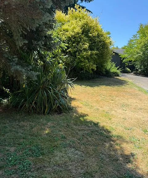 21st Ave SW — Photo 3