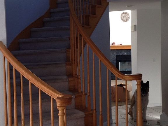 4th image of 2701 Jewelstone Ct