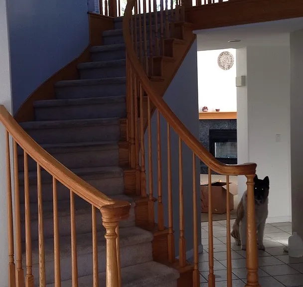 2701 Jewelstone Ct — Photo 3