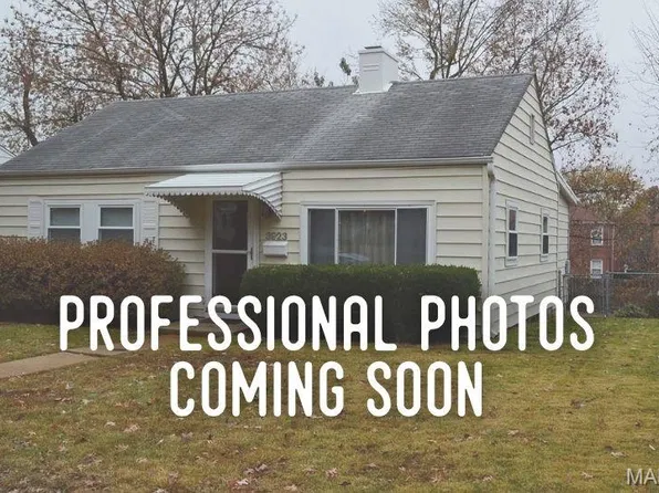 3923 Wenzlick Ave, Saint Louis, MO 63109