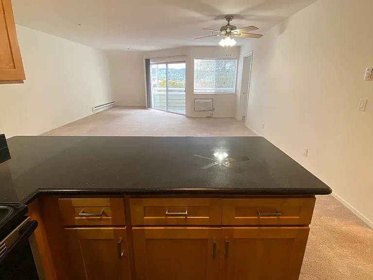 Deer Park Apartments - 95-99 Professional Center Pkwy — Photo 20